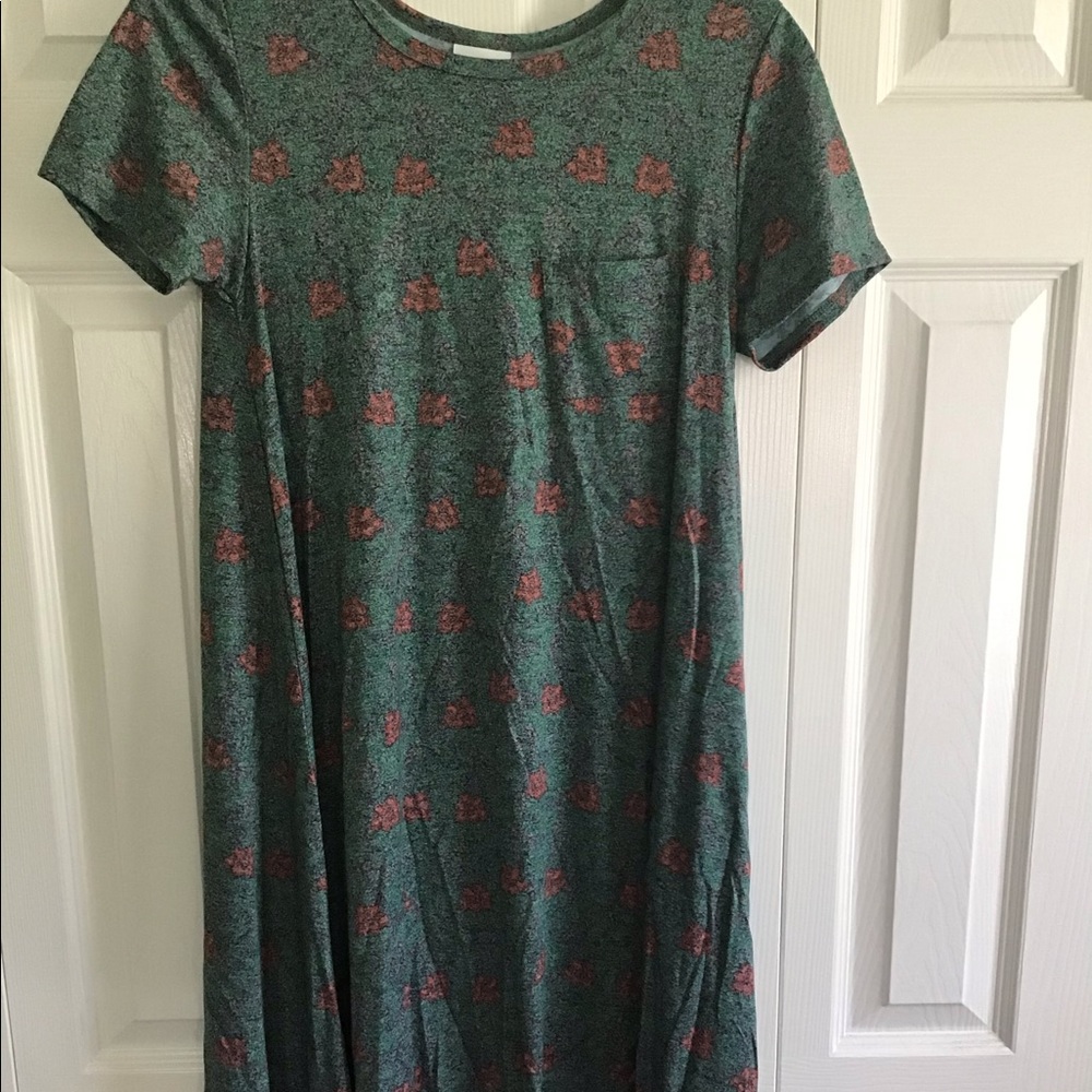 NWOT LuLaRoe Carly